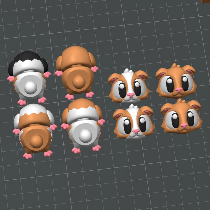 Flexi Guinea Pig