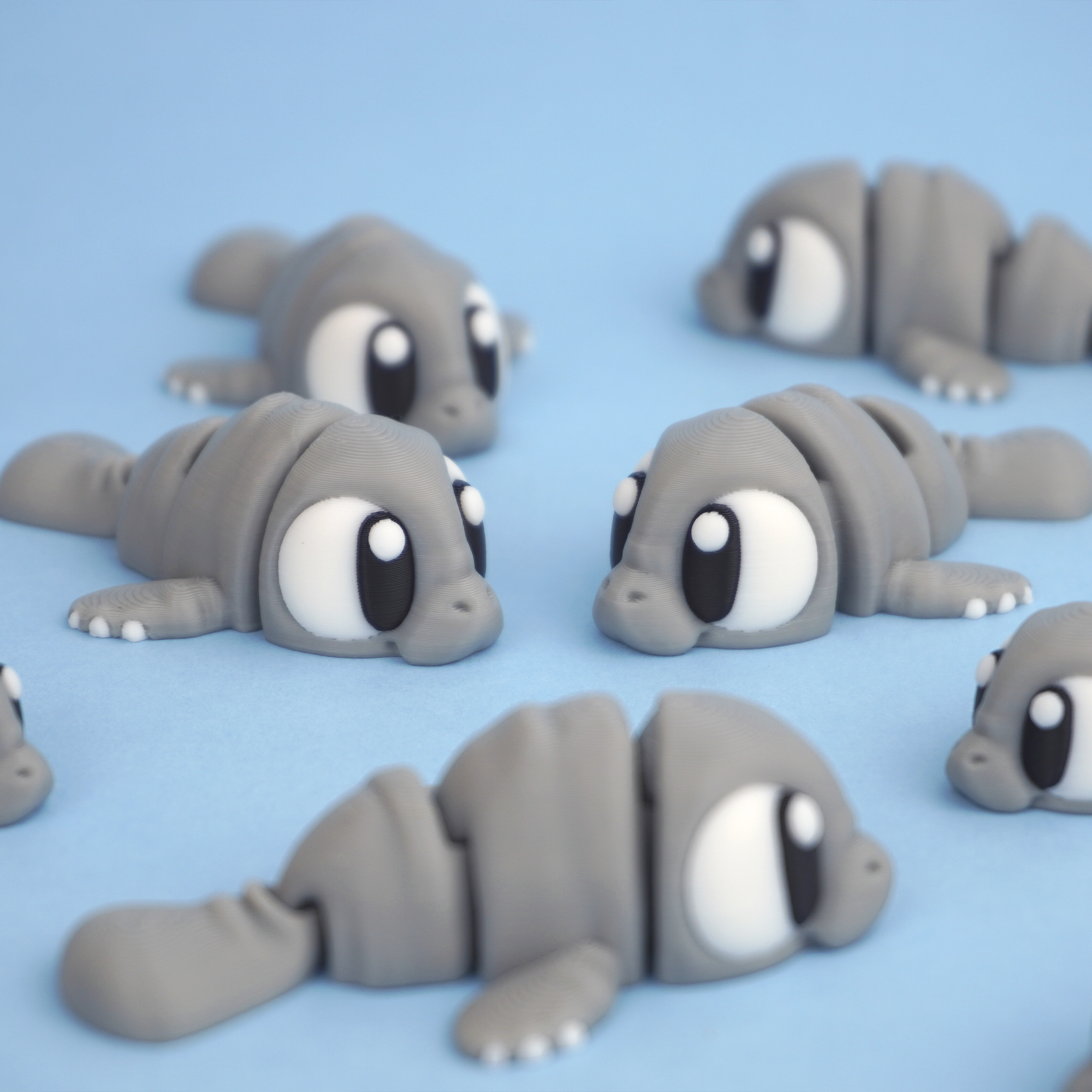 Flexi Manatee Backyard Pool Party
