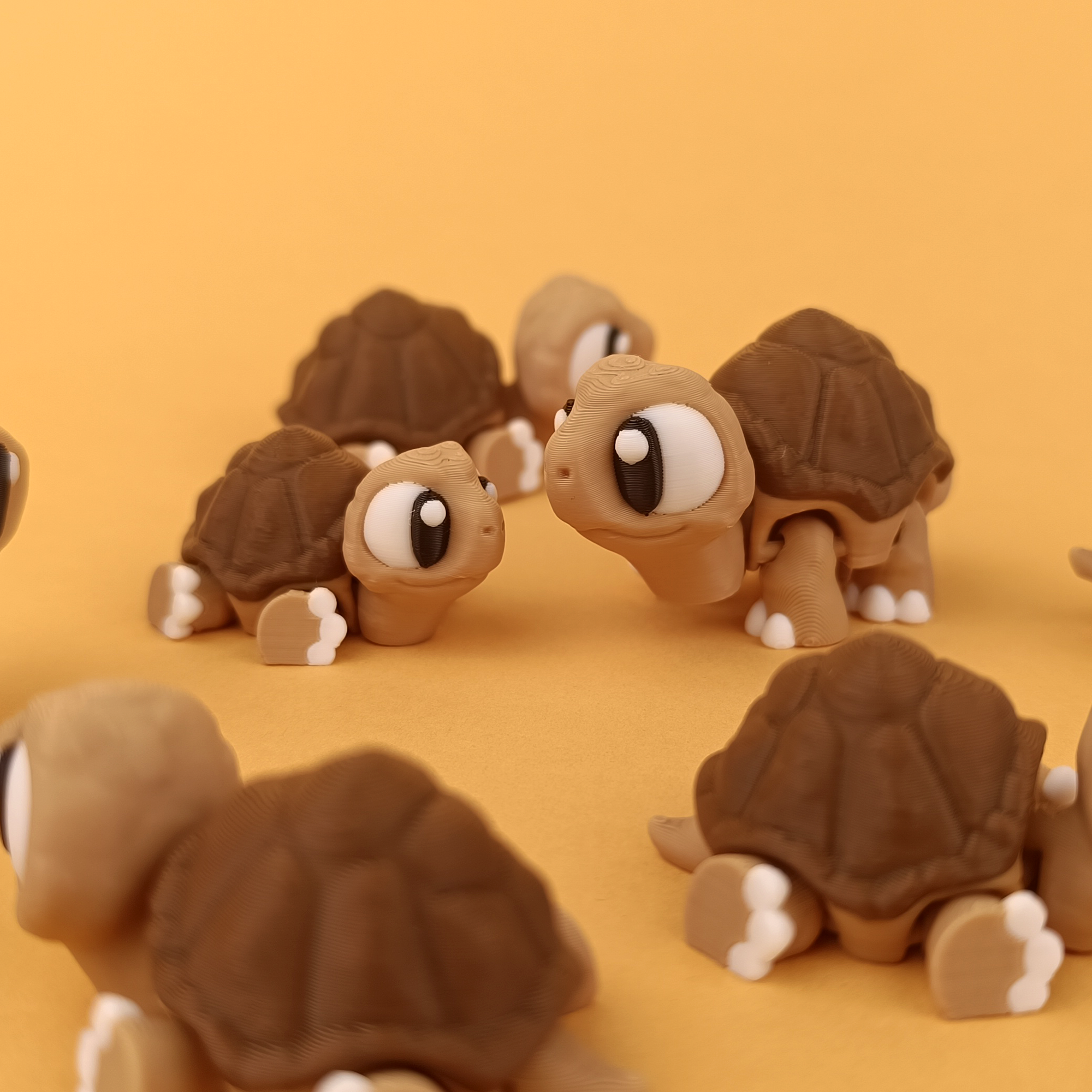 Flexi Tortoise