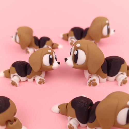 Beagle Flexi