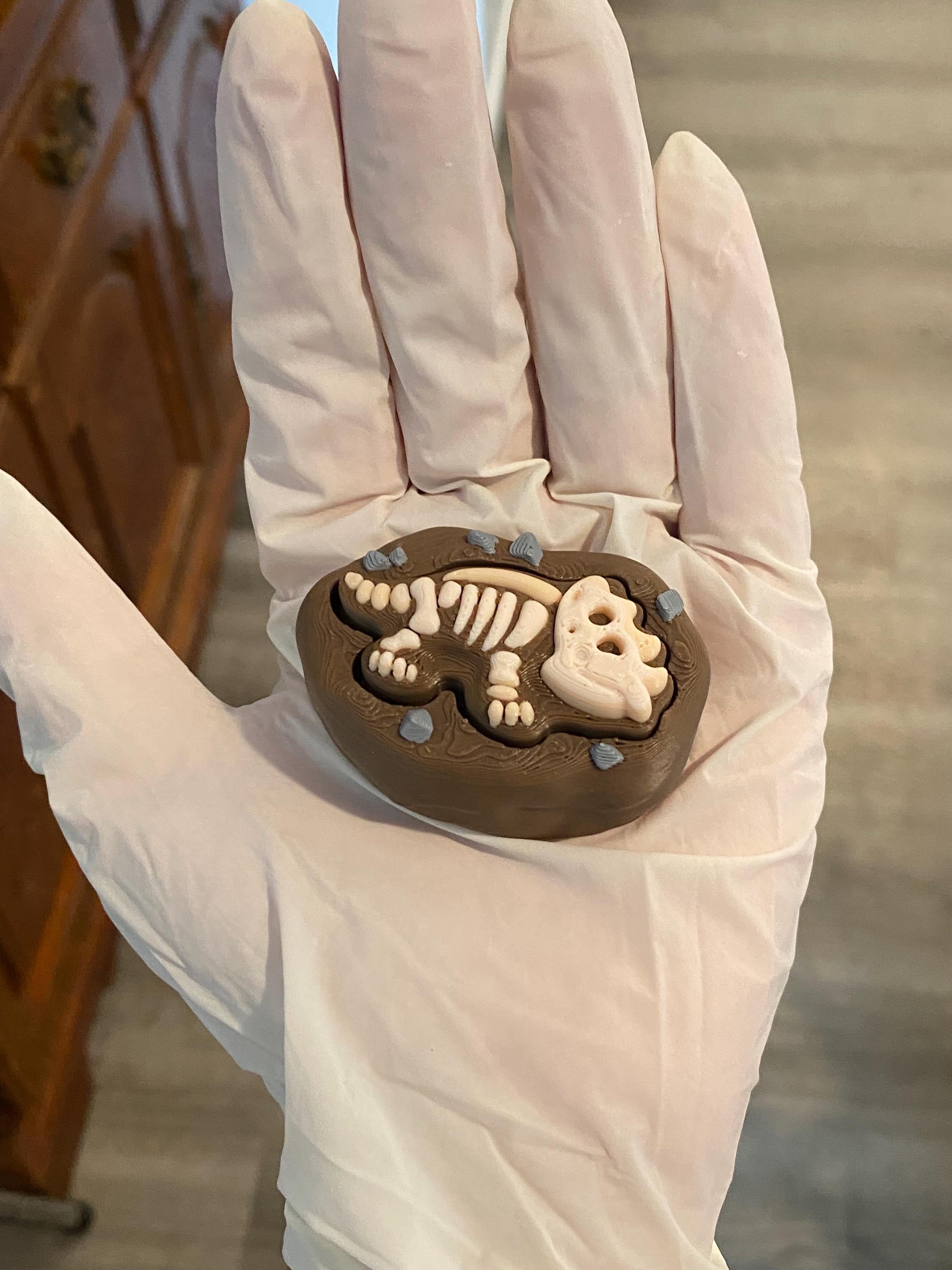 Tactile Dinosaur Fossil Anxiety Fidget Clicker Keychain | Dino Sensory Toy | 3D Printed Stress Reliver