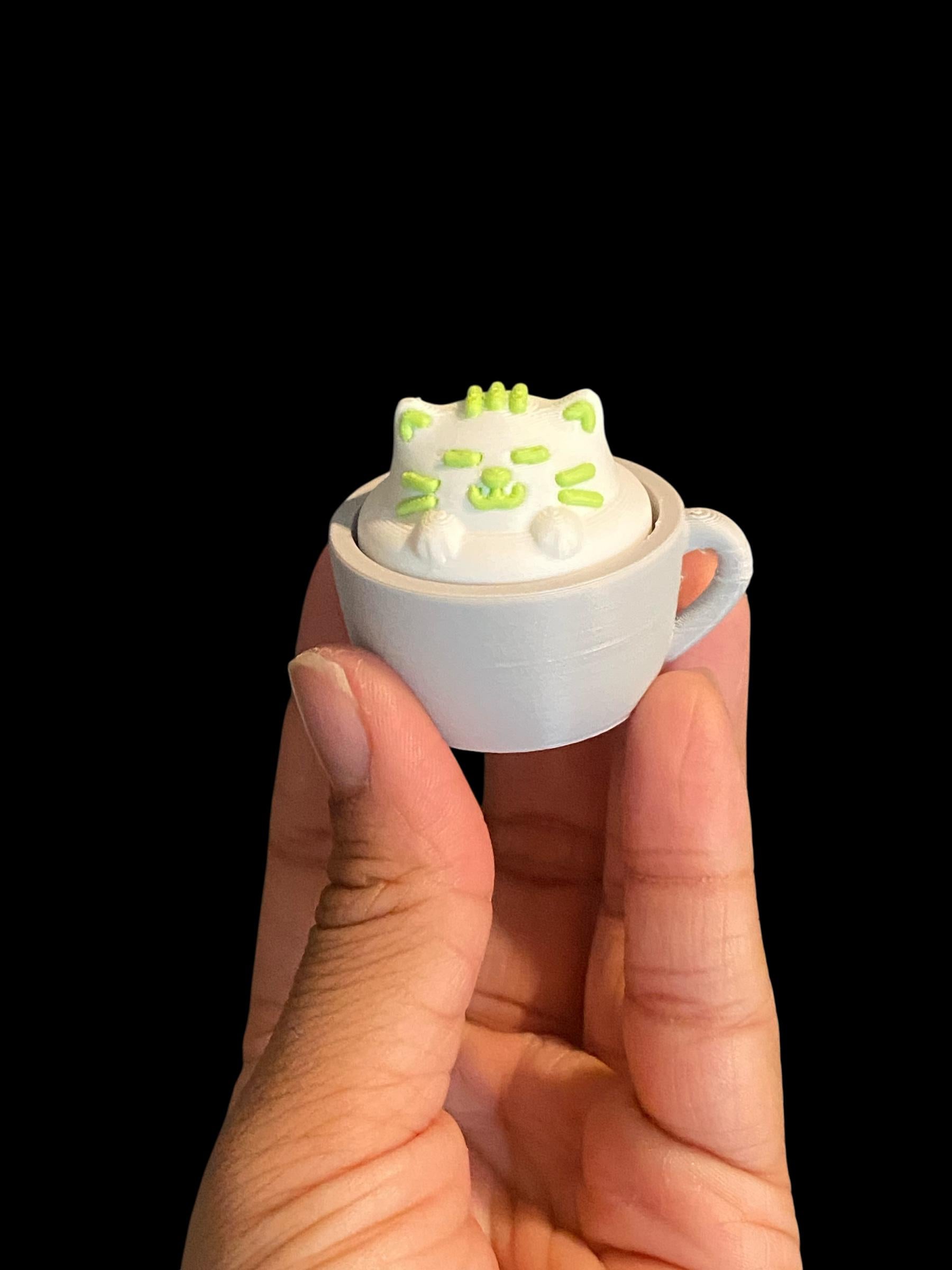 Emotional Support Matcha Cat Fidget Toy Keychain | Anxiety Relief Clicker | Sensory Gift