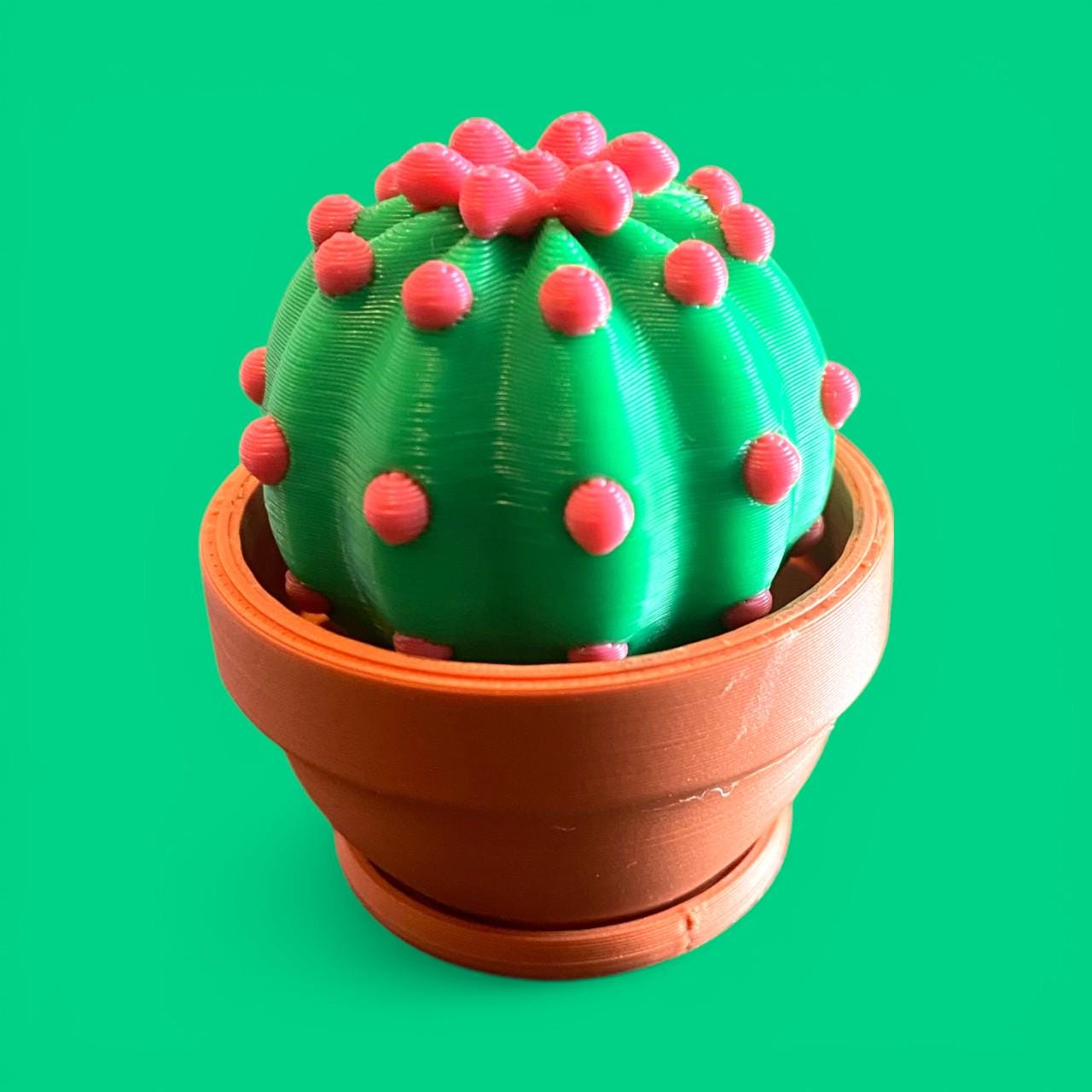 Adorable Cactus Plant Fidget Clicker Keychain | 3D Printed Sensory Toy | Anxiety Relief Gift
