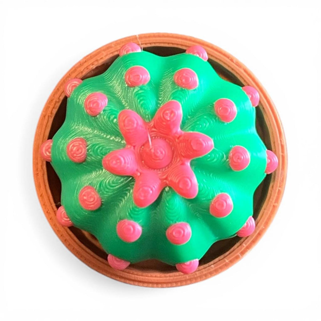 Adorable Cactus Plant Fidget Clicker Keychain | 3D Printed Sensory Toy | Anxiety Relief Gift