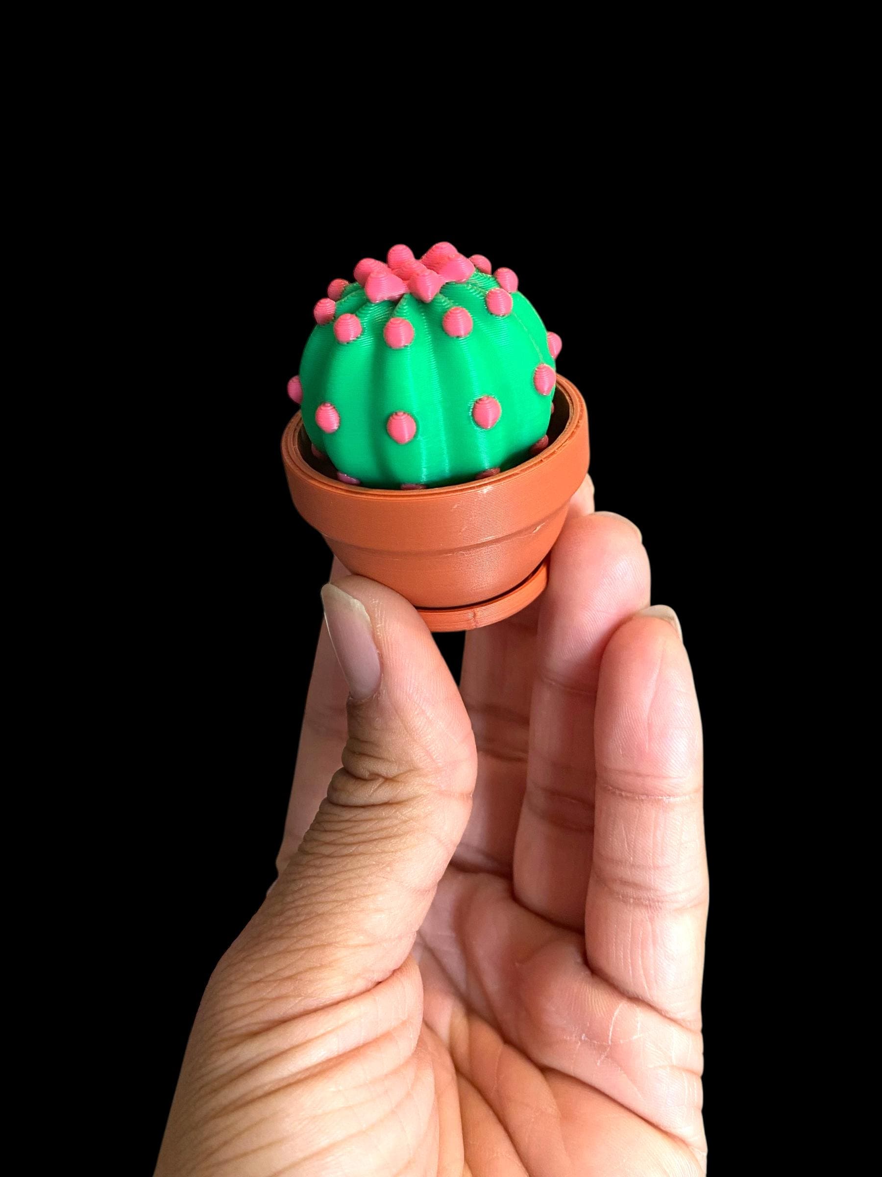 Adorable Cactus Plant Fidget Clicker Keychain | 3D Printed Sensory Toy | Anxiety Relief Gift