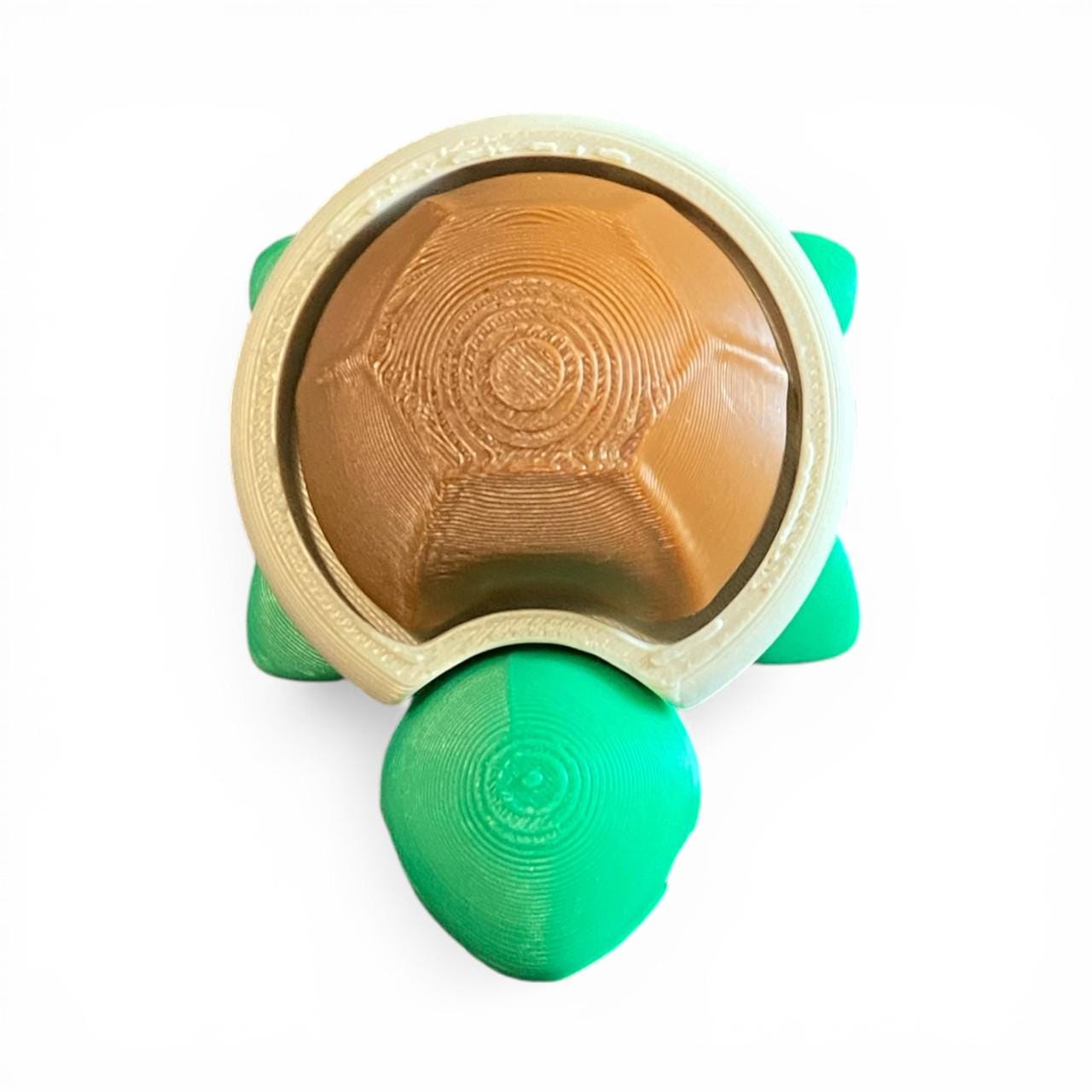 Adorable Baby Turtle Fidget Clicker Keychain | 3D Printed Sensory Toy | Anxiety Relief Gift