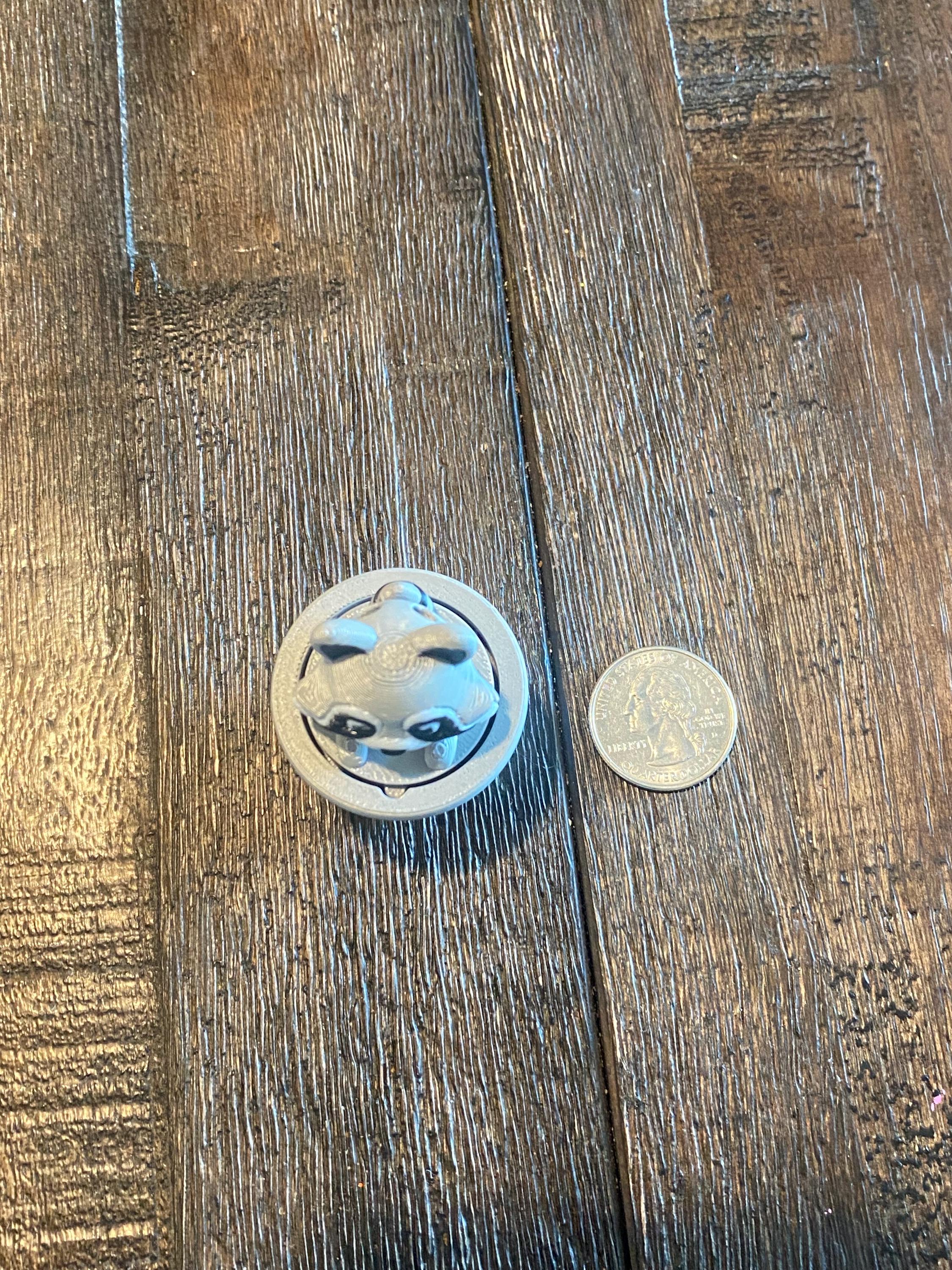 Racoon Fidget Clicker Keychain | Raccoon Sensory Toy, Stress Relief, 3D Printed