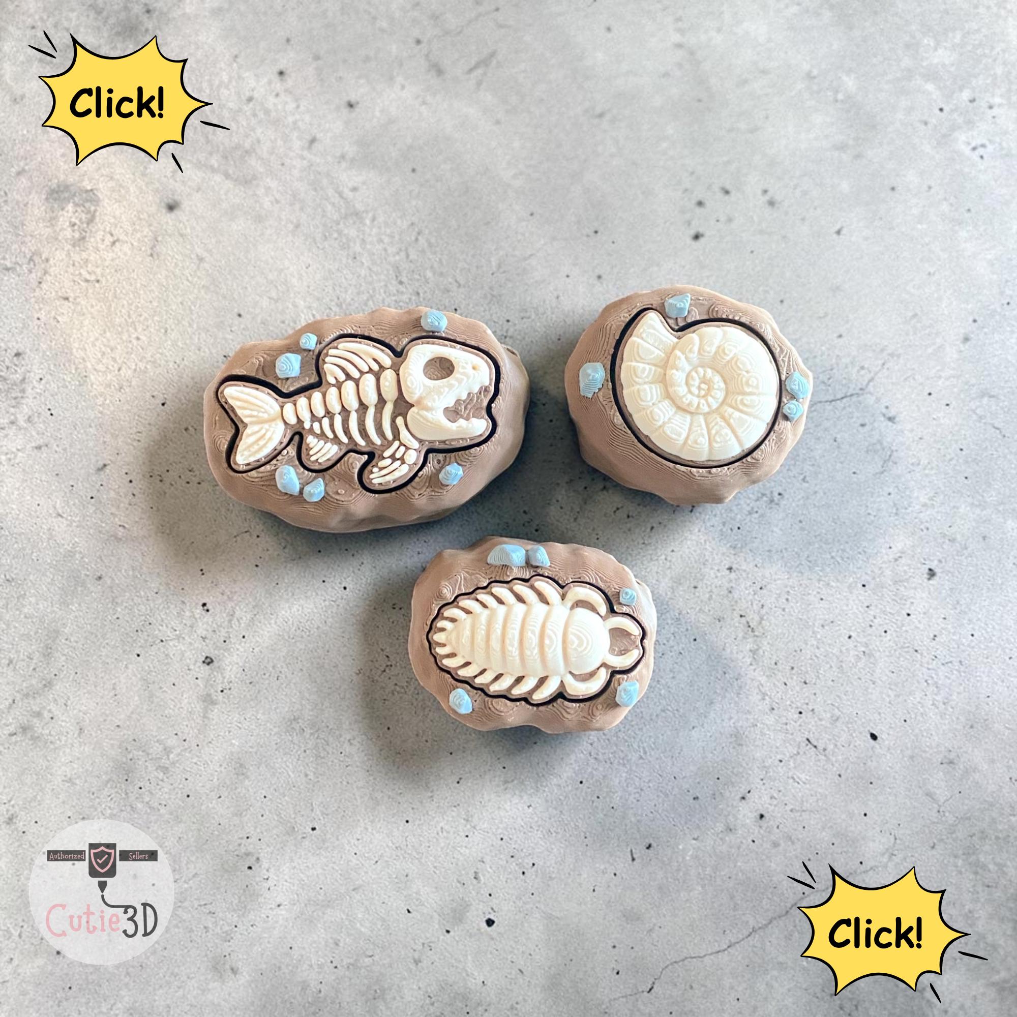Ammonite Fossil Fidget Clicker Keychain | 3D Printed Sensory Toy | Fossil Lover Gift