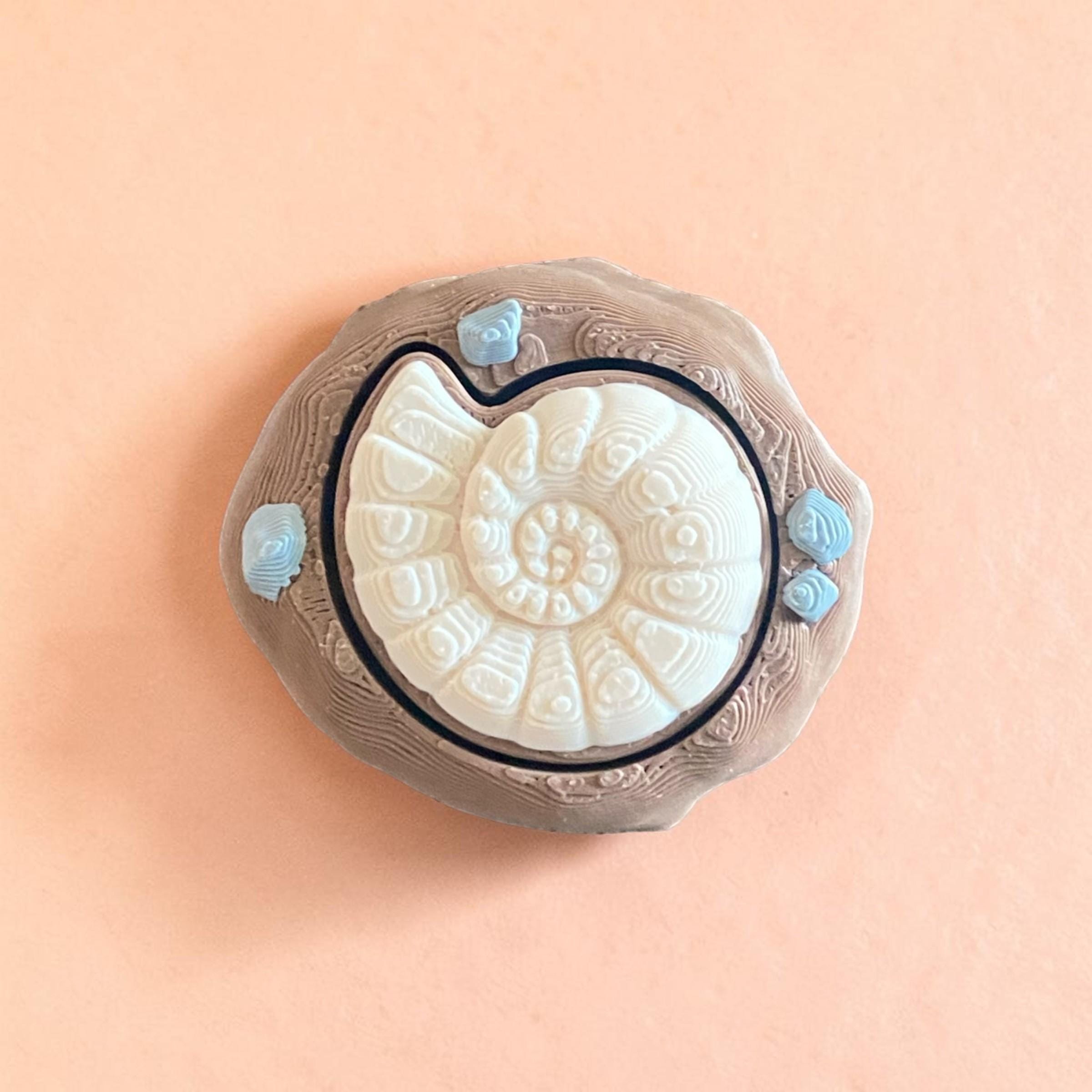 Ammonite Fossil Fidget Clicker Keychain | 3D Printed Sensory Toy | Fossil Lover Gift