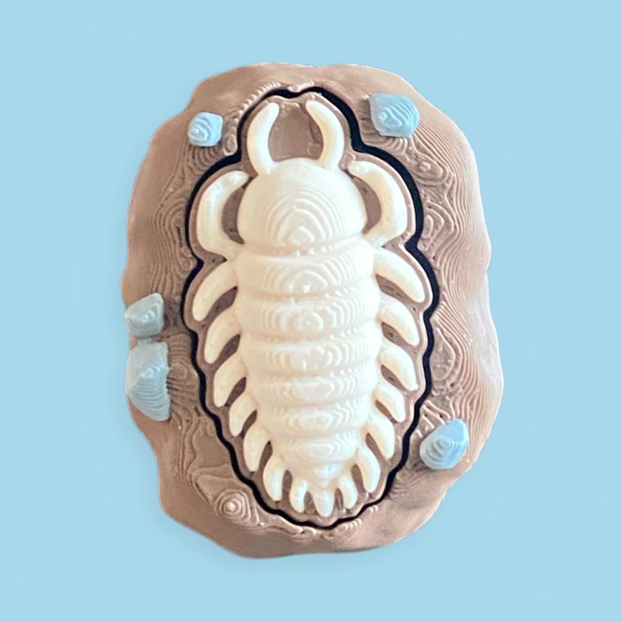 Ammonite Fossil Fidget Clicker Keychain | 3D Printed Sensory Toy | Fossil Lover Gift