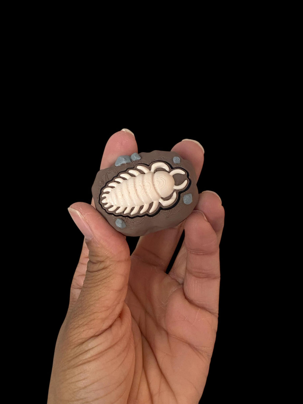 Ammonite Fossil Fidget Clicker Keychain | 3D Printed Sensory Toy | Fossil Lover Gift