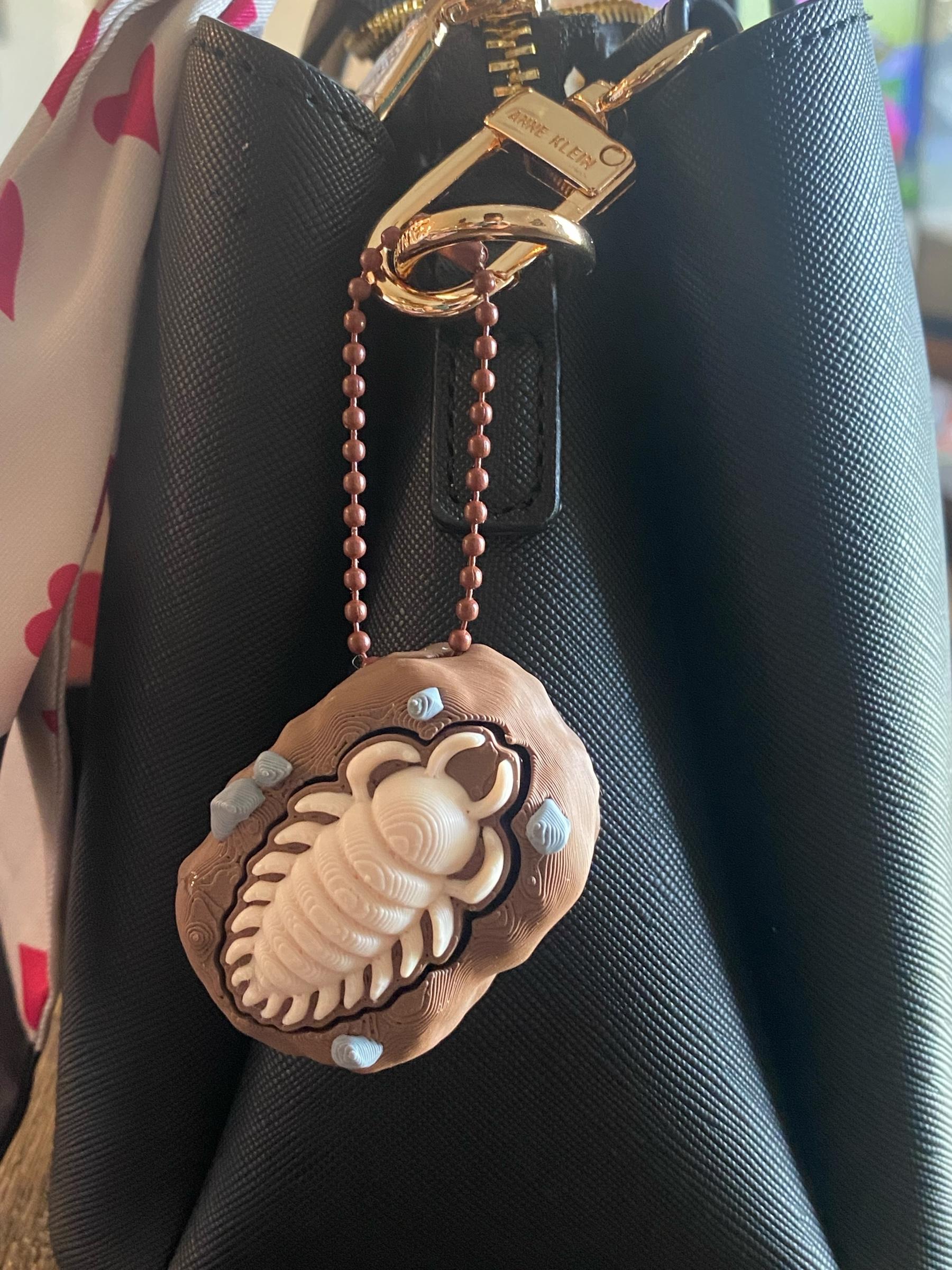Ammonite Fossil Fidget Clicker Keychain | 3D Printed Sensory Toy | Fossil Lover Gift
