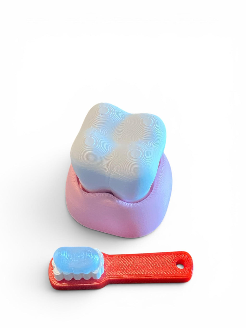 Molar & Toothbrush Fidget Clicker Keychain | 3D Printed Sensory Toy | Dental Gift
