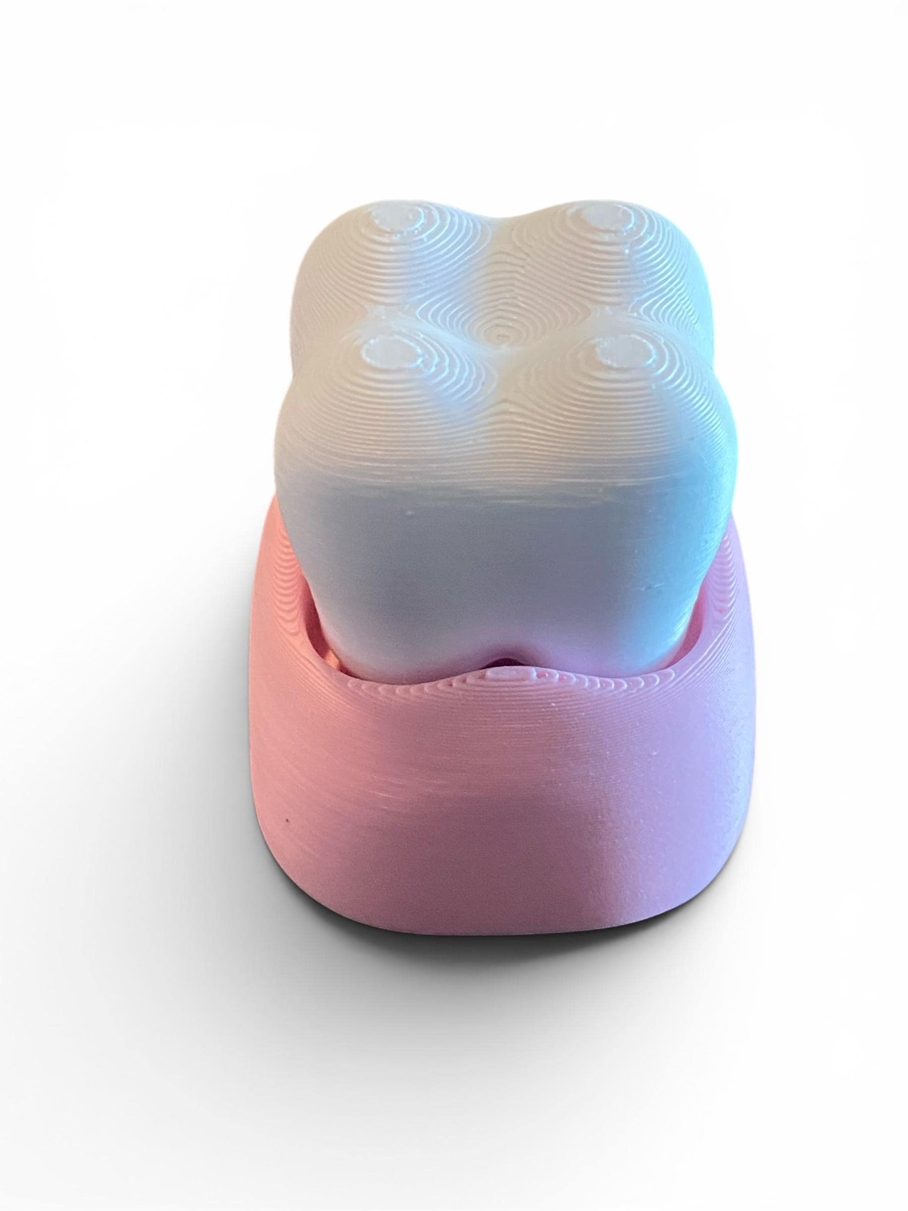 Molar & Toothbrush Fidget Clicker Keychain | 3D Printed Sensory Toy | Dental Gift
