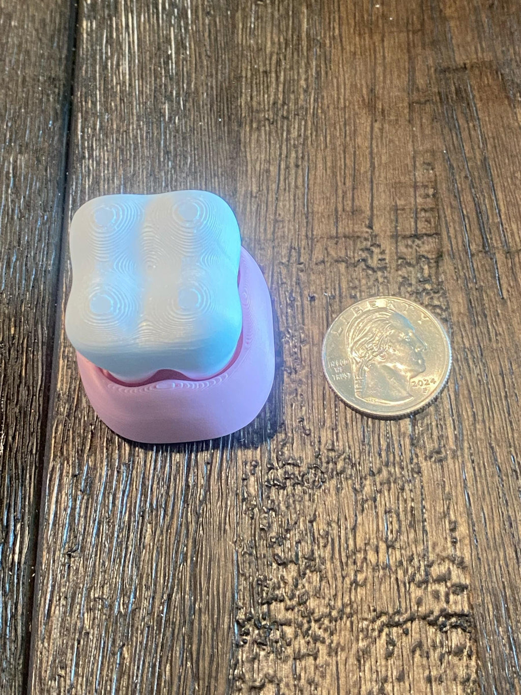 Molar & Toothbrush Fidget Clicker Keychain | 3D Printed Sensory Toy | Dental Gift