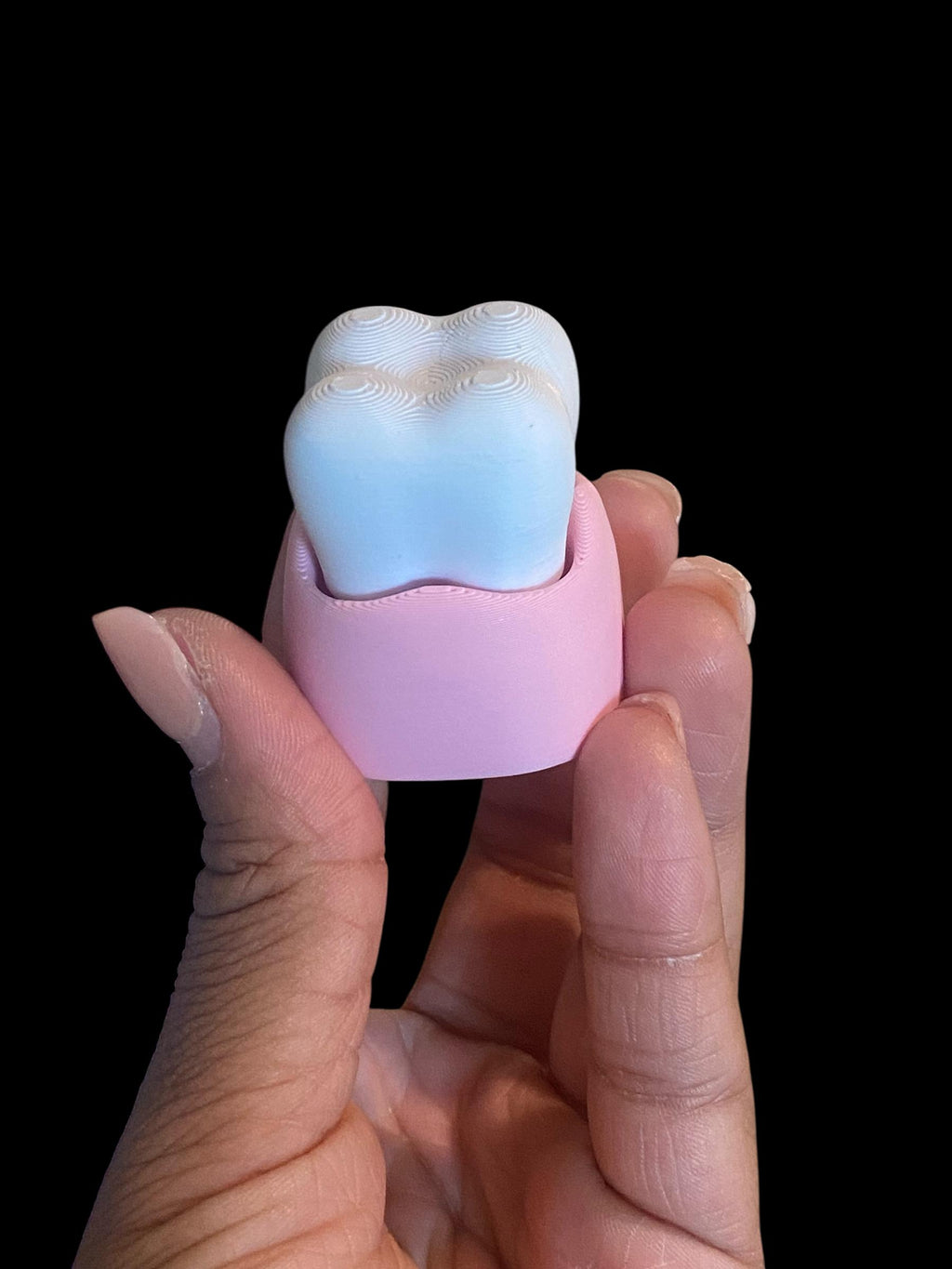 Molar & Toothbrush Fidget Clicker Keychain | 3D Printed Sensory Toy | Dental Gift